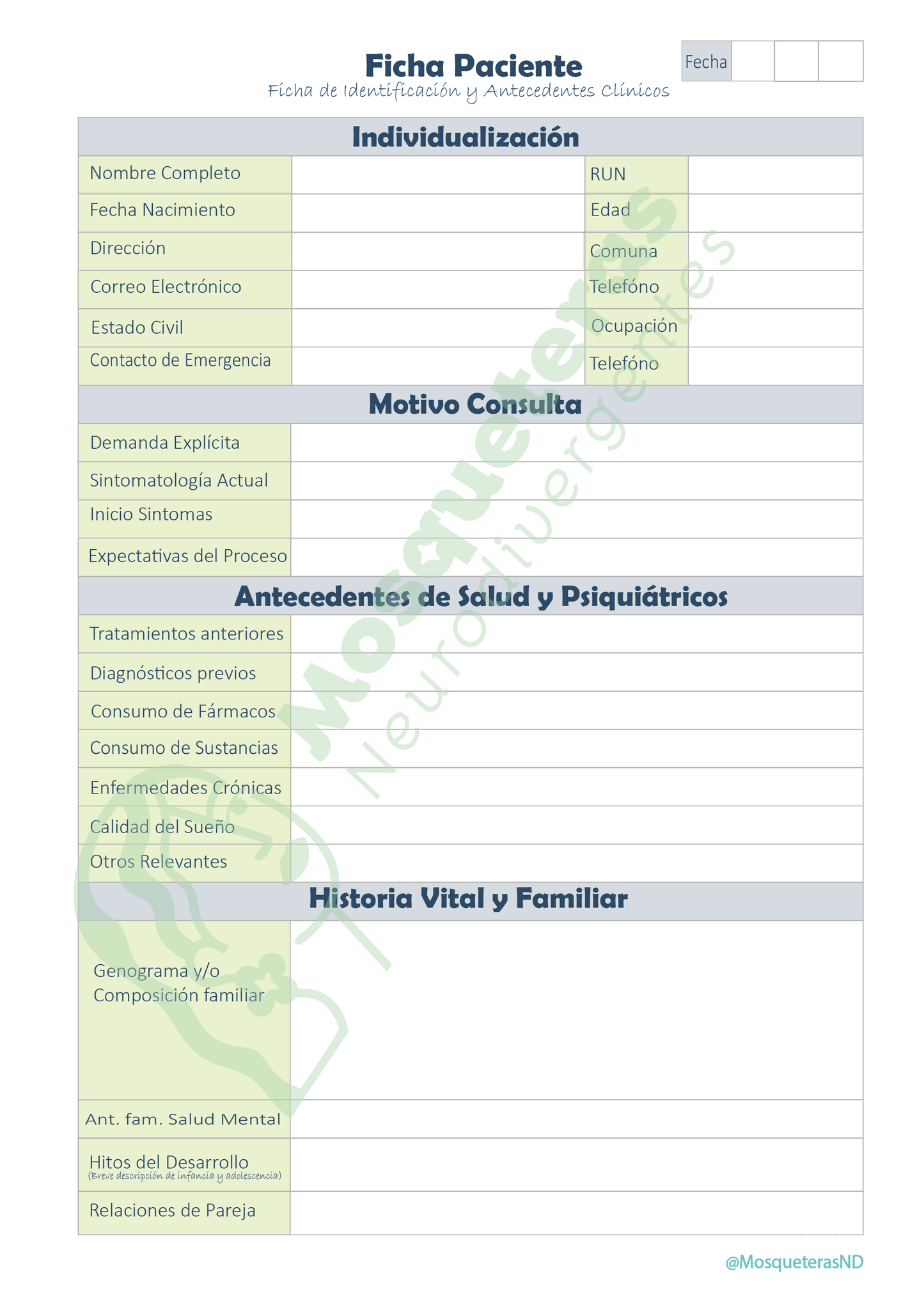 Agenda Psicólogos/as – Gestión Clínica (Tamaño B5)- Color Verde